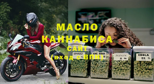 стаф Нея