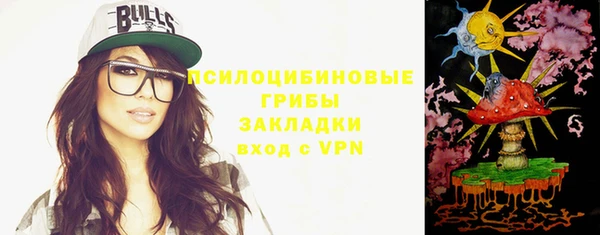 дживик Арсеньев