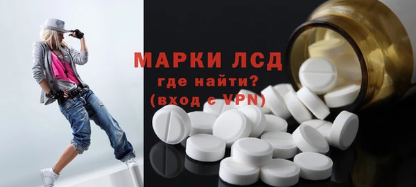 стаф Нея