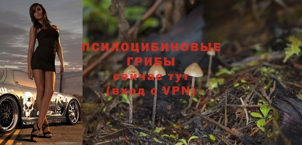 дживик Арсеньев