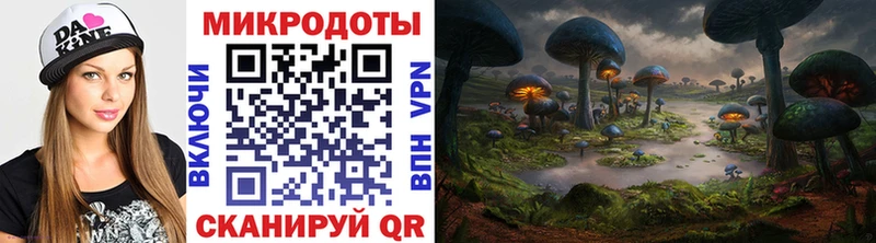 Псилоцибиновые грибы Psilocybine cubensis  цена   Борзя 